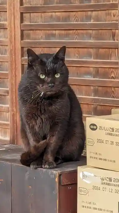 梅宮大社(京都府)