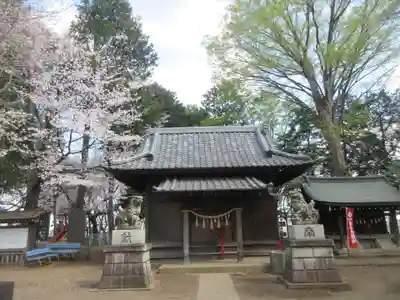 仙波氷川神社の本殿・本堂