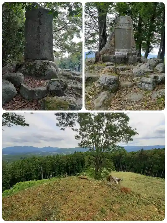 白髭大明神(奈良県)