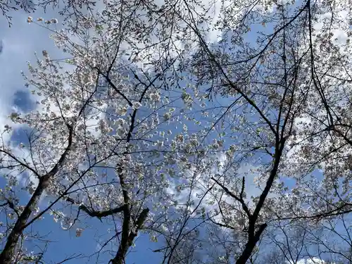 勝持寺（花の寺）(京都府)