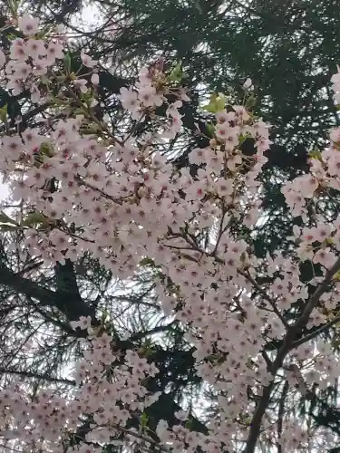 花巻神社の{uncategorized: "未分類", other: "その他", undefined: "問題あり", building: "その他建物", grave: "お墓", sacred_gate: "鳥居", guardian: "狛犬", statue: "像", buddha: "仏像", history: "歴史", nature: "自然", garden: "庭園", animal: "動物", pagoda: "塔", temizu: "手水舎", mountain_gate: "山門・神門", sanctuary: "本殿・本堂", subordinate: "末社・摂社", art: "芸術", scenery: "景色", jizo: "地蔵", ema: "絵馬", goshuin: "御朱印", omikuji: "おみくじ", items: "授与品その他", amulet: "お守り", goshuincho: "御朱印帳", eats: "食事", festival: "お祭り", votive_dance: "神楽", shichigosan: "七五三参", wedding: "結婚式", experience: "体験その他", initially: "初詣", around: "周辺", anti_infection: "感染症対策"}
