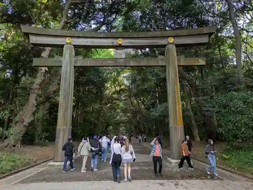 明治神宮(東京都)