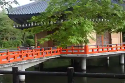 安倍文殊院 の末社・摂社