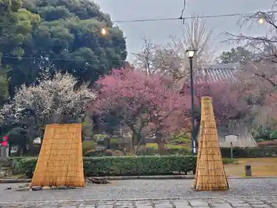 鑁阿寺(栃木県)