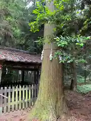 諏訪神社の建物その他