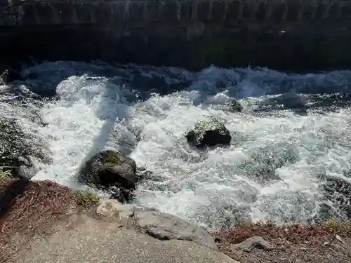 富士山本宮浅間大社(静岡県)