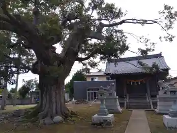 天満神社(福井県)