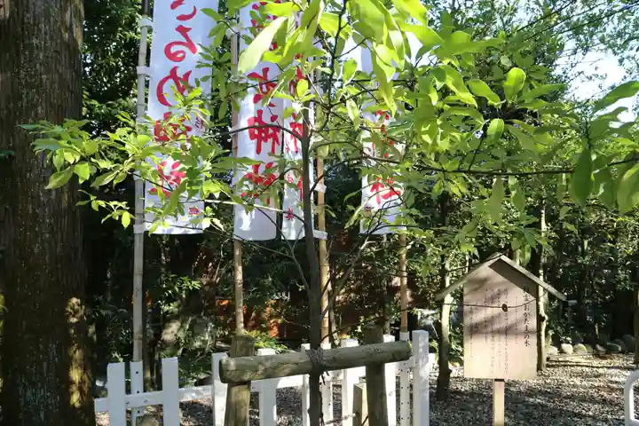 佐瑠女神社(猿田彦神社境内社)(三重県)