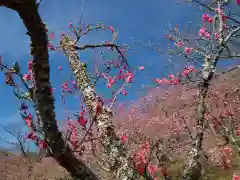 筑波山神社(茨城県)