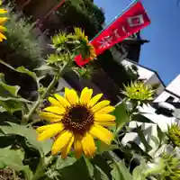 七重浜海津見神社(北海道)