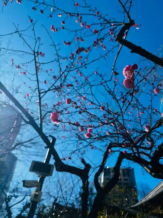 愛宕神社の{uncategorized: "未分類", other: "その他", undefined: "問題あり", building: "その他建物", grave: "お墓", sacred_gate: "鳥居", guardian: "狛犬", statue: "像", buddha: "仏像", history: "歴史", nature: "自然", garden: "庭園", animal: "動物", pagoda: "塔", temizu: "手水舎", mountain_gate: "山門・神門", sanctuary: "本殿・本堂", subordinate: "末社・摂社", art: "芸術", scenery: "景色", jizo: "地蔵", ema: "絵馬", goshuin: "御朱印", omikuji: "おみくじ", items: "授与品その他", amulet: "お守り", goshuincho: "御朱印帳", eats: "食事", festival: "お祭り", votive_dance: "神楽", shichigosan: "七五三参", wedding: "結婚式", experience: "体験その他", initially: "初詣", around: "周辺", anti_infection: "感染症対策"}