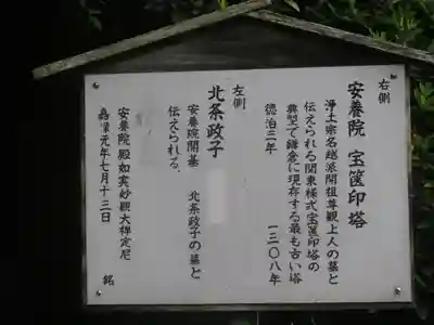 安養院　(田代寺）(神奈川県)