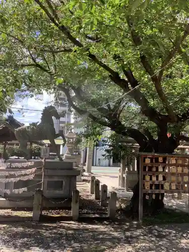 鹽竃神社の狛犬