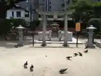 天津神社の動物