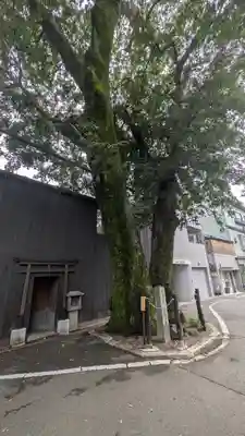 榎木大明神(京都府)