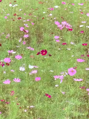 結縁寺(千葉県)