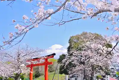 富士山本宮浅間大社(静岡県)