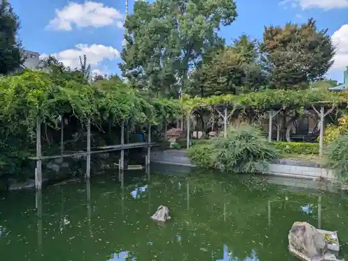 亀戸天神社(東京都)