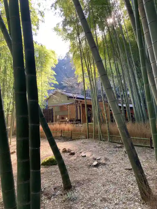 報国寺(神奈川県)
