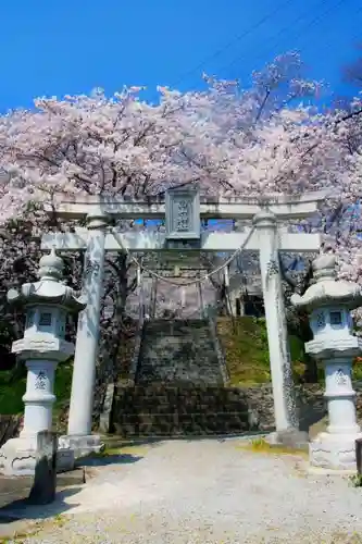 白山神社の鳥居