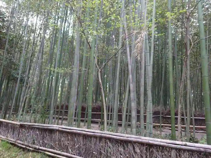 野宮神社の周辺