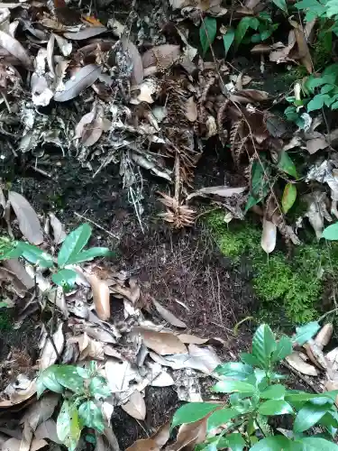 由加神社（和気由加神社）の自然