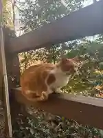 唐澤山神社の{uncategorized: "未分類", other: "その他", undefined: "問題あり", building: "その他建物", grave: "お墓", sacred_gate: "鳥居", guardian: "狛犬", statue: "像", buddha: "仏像", history: "歴史", nature: "自然", garden: "庭園", animal: "動物", pagoda: "塔", temizu: "手水舎", mountain_gate: "山門・神門", sanctuary: "本殿・本堂", subordinate: "末社・摂社", art: "芸術", scenery: "景色", jizo: "地蔵", ema: "絵馬", goshuin: "御朱印", omikuji: "おみくじ", items: "授与品その他", amulet: "お守り", goshuincho: "御朱印帳", eats: "食事", festival: "お祭り", votive_dance: "神楽", shichigosan: "七五三参", wedding: "結婚式", experience: "体験その他", initially: "初詣", around: "周辺", anti_infection: "感染症対策"}