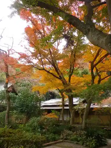 瑞泉寺の庭園