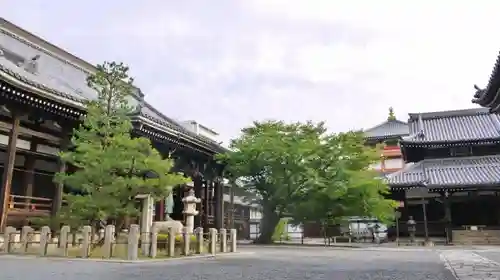 本法寺の建物その他