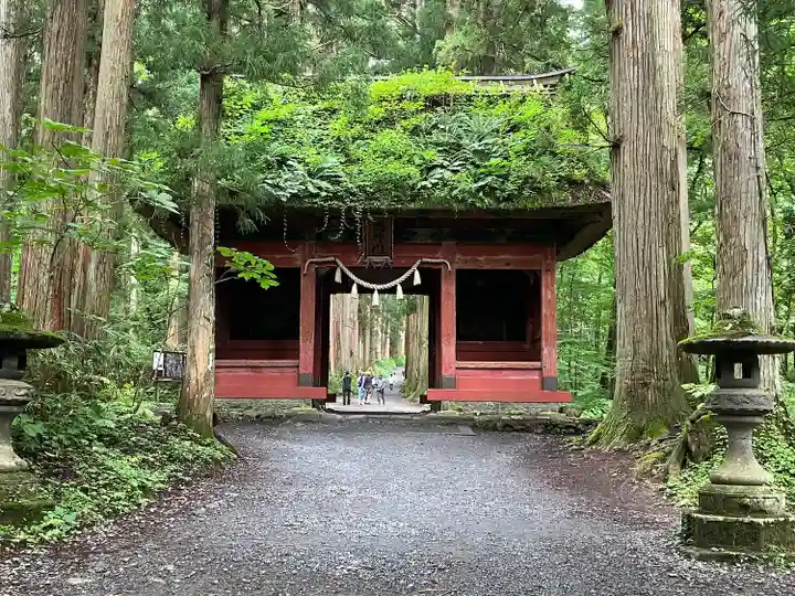 戸隠神社奥社(長野県)