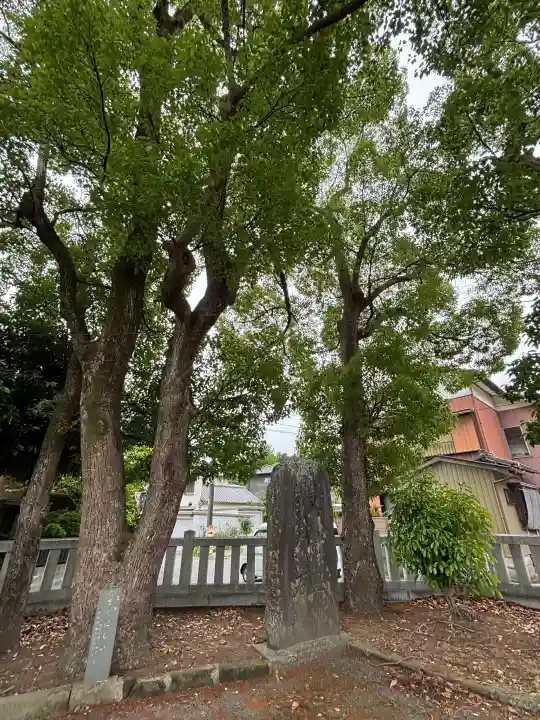 玉前神社の{uncategorized: "未分類", other: "その他", undefined: "問題あり", building: "その他建物", grave: "お墓", sacred_gate: "鳥居", guardian: "狛犬", statue: "像", buddha: "仏像", history: "歴史", nature: "自然", garden: "庭園", animal: "動物", pagoda: "塔", temizu: "手水舎", mountain_gate: "山門・神門", sanctuary: "本殿・本堂", subordinate: "末社・摂社", art: "芸術", scenery: "景色", jizo: "地蔵", ema: "絵馬", goshuin: "御朱印", omikuji: "おみくじ", items: "授与品その他", amulet: "お守り", goshuincho: "御朱印帳", eats: "食事", festival: "お祭り", votive_dance: "神楽", shichigosan: "七五三参", wedding: "結婚式", experience: "体験その他", initially: "初詣", around: "周辺", anti_infection: "感染症対策"}