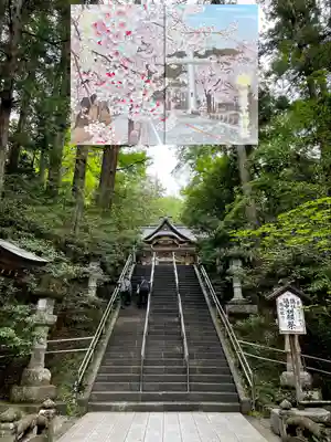 宝登山神社(埼玉県)