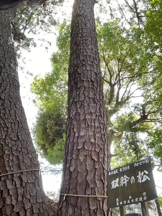 寿恵野神社(愛知県)