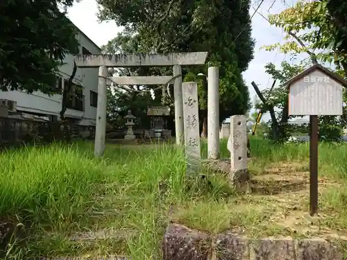 白鬚神社の鳥居