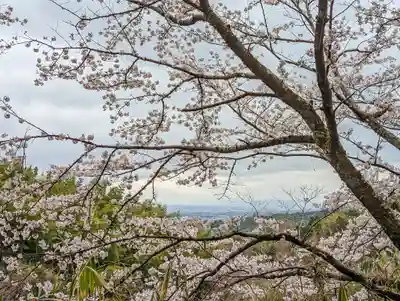 勝持寺（花の寺）(京都府)