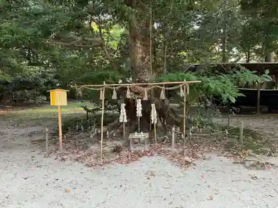 阿太加夜神社(島根県)