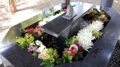 新琴似神社の手水舎