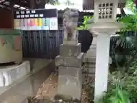 子安稲荷神社の狛犬