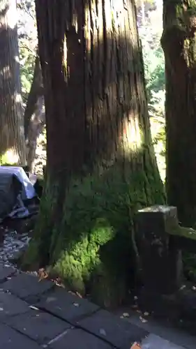 榛名神社の自然