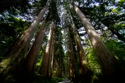 戸隠神社奥社(長野県)