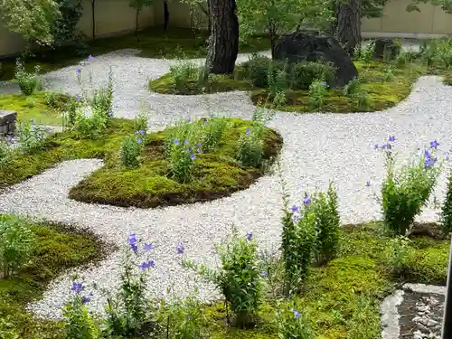廬山寺（廬山天台講寺）(京都府)