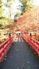 養父神社(兵庫県)