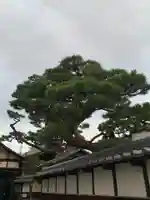 法安寺の自然