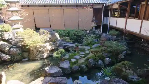 興聖寺（興聖寶林禅寺）の庭園