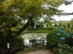 武蔵寺の庭園