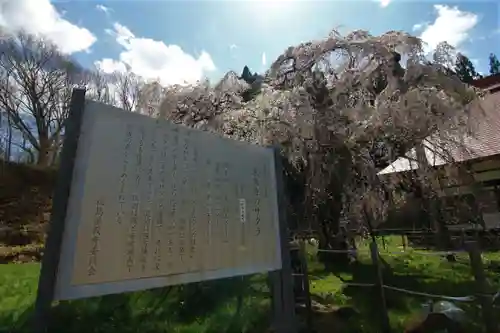 永泉寺の歴史