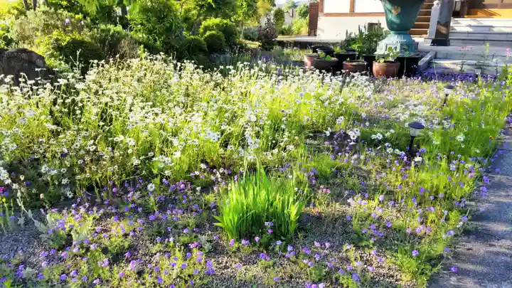 全龍寺(埼玉県)