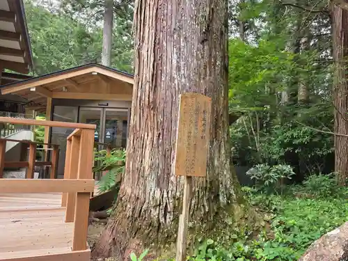 小國神社(静岡県)