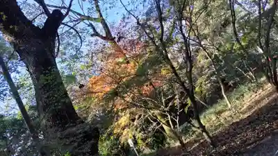 賀茂御祖神社（下鴨神社）(京都府)