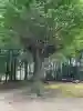 神岡稲荷神社の{uncategorized: "未分類", other: "その他", undefined: "問題あり", building: "その他建物", grave: "お墓", sacred_gate: "鳥居", guardian: "狛犬", statue: "像", buddha: "仏像", history: "歴史", nature: "自然", garden: "庭園", animal: "動物", pagoda: "塔", temizu: "手水舎", mountain_gate: "山門・神門", sanctuary: "本殿・本堂", subordinate: "末社・摂社", art: "芸術", scenery: "景色", jizo: "地蔵", ema: "絵馬", goshuin: "御朱印", omikuji: "おみくじ", items: "授与品その他", amulet: "お守り", goshuincho: "御朱印帳", eats: "食事", festival: "お祭り", votive_dance: "神楽", shichigosan: "七五三参", wedding: "結婚式", experience: "体験その他", initially: "初詣", around: "周辺", anti_infection: "感染症対策"}